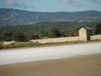 DSC00115