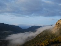 DSC 0401