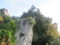 IMG 3005
