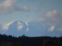 DSC03529