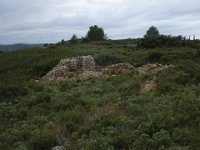 DSC05179