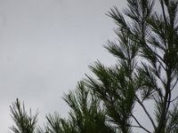 DSC05180