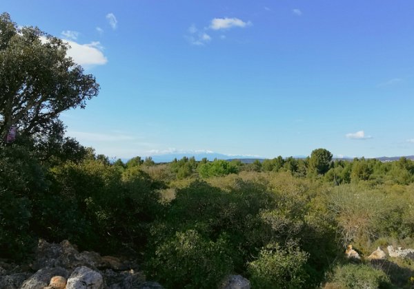 2021 0313 Leucate les falaises